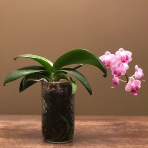 Meet your Posher, Ruth